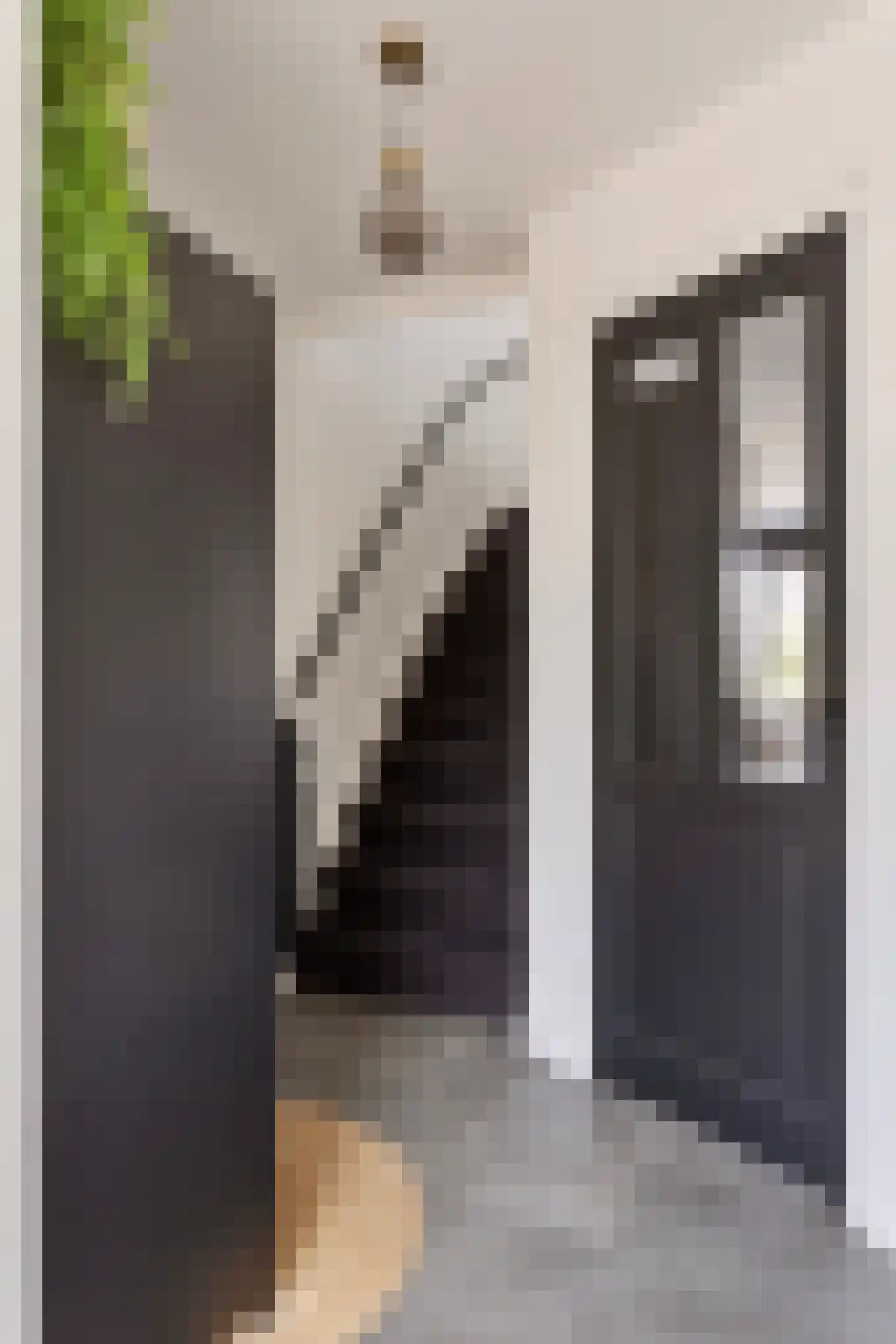 Dassenlaan 2 Veenendaal thumbnail 6