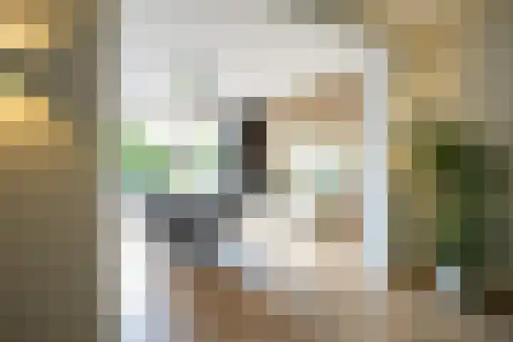 Dassenlaan 21 Landgraaf thumbnail 15