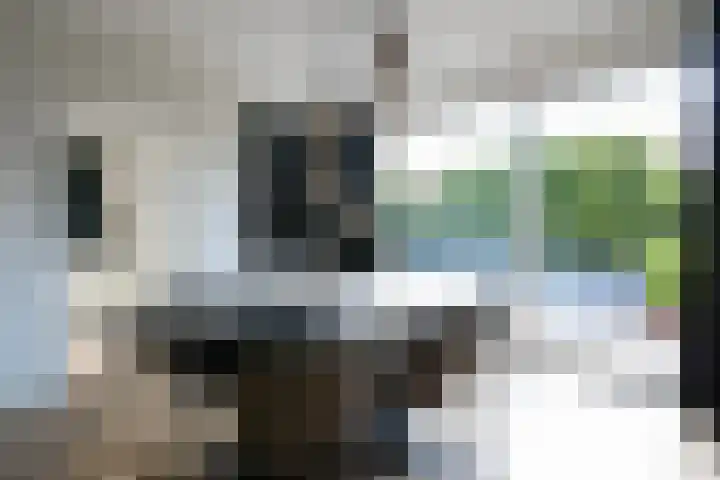 Dassenlaan 21 Landgraaf thumbnail 16
