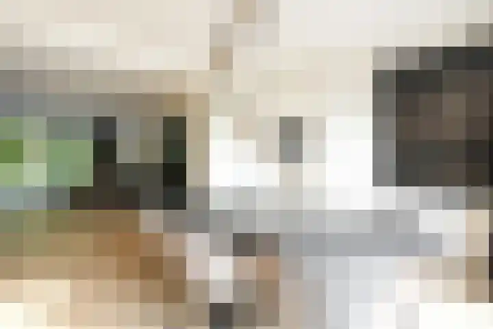 Dassenlaan 21 Landgraaf thumbnail 17