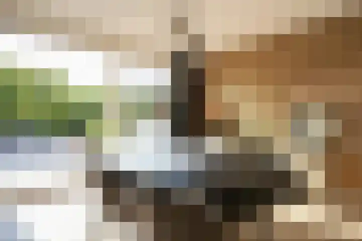 Dassenlaan 21 Landgraaf thumbnail 18
