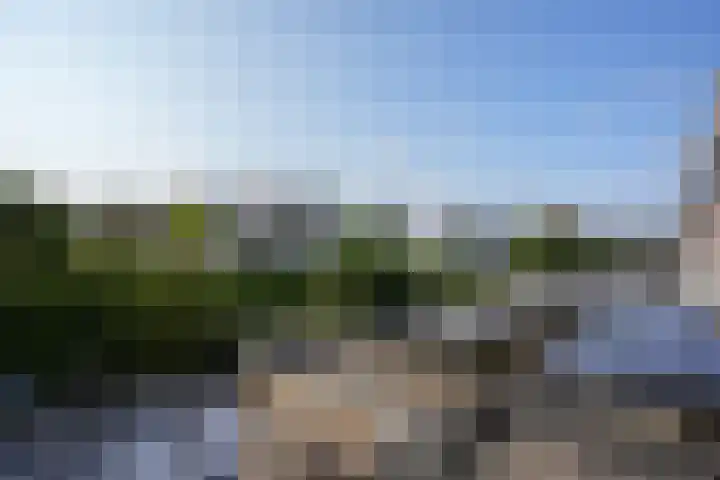 Dassenlaan 21 Landgraaf thumbnail 35