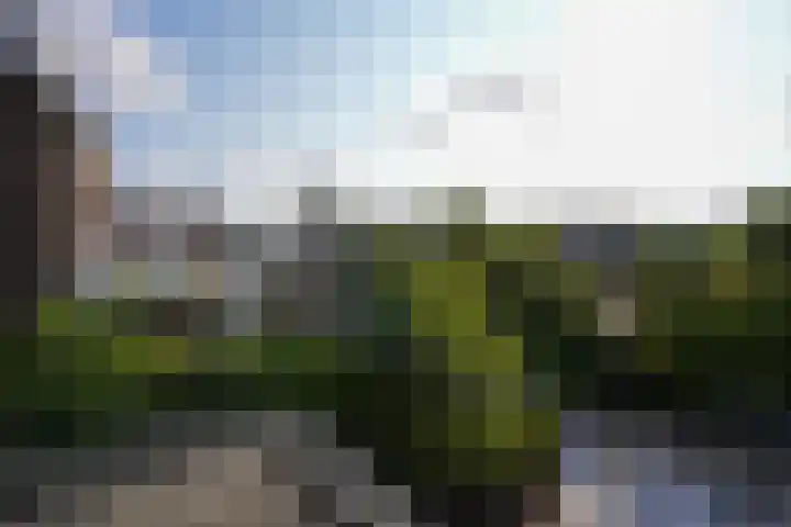 Dassenlaan 21 Landgraaf thumbnail 36
