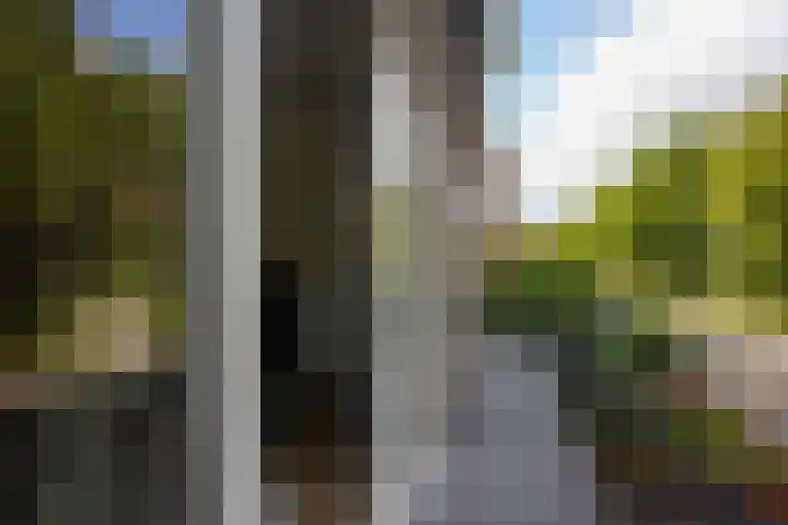 Dassenlaan 21 Landgraaf thumbnail 46