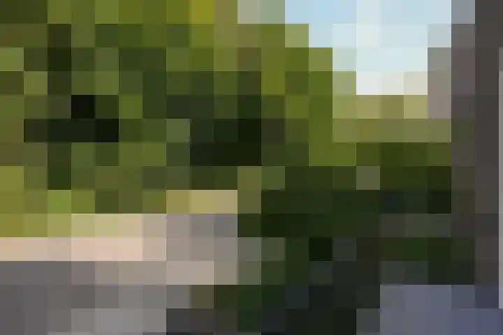 Dassenlaan 21 Landgraaf thumbnail 47