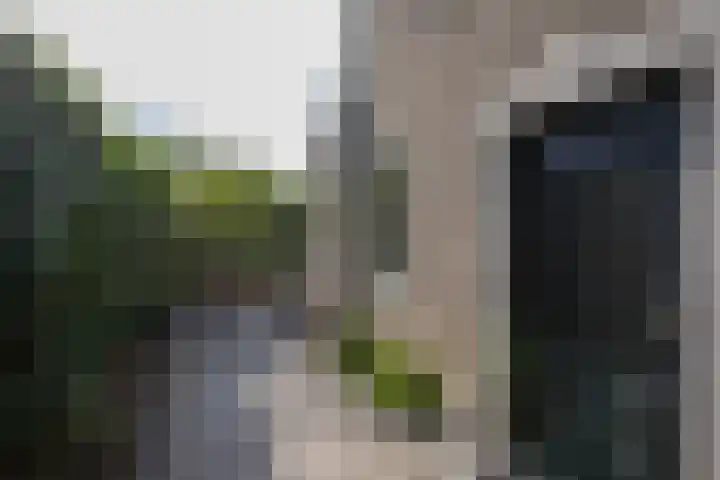 Dassenlaan 21 Landgraaf thumbnail 48