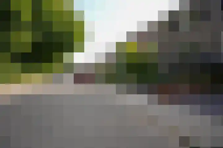 Dassenlaan 21 Landgraaf thumbnail 51