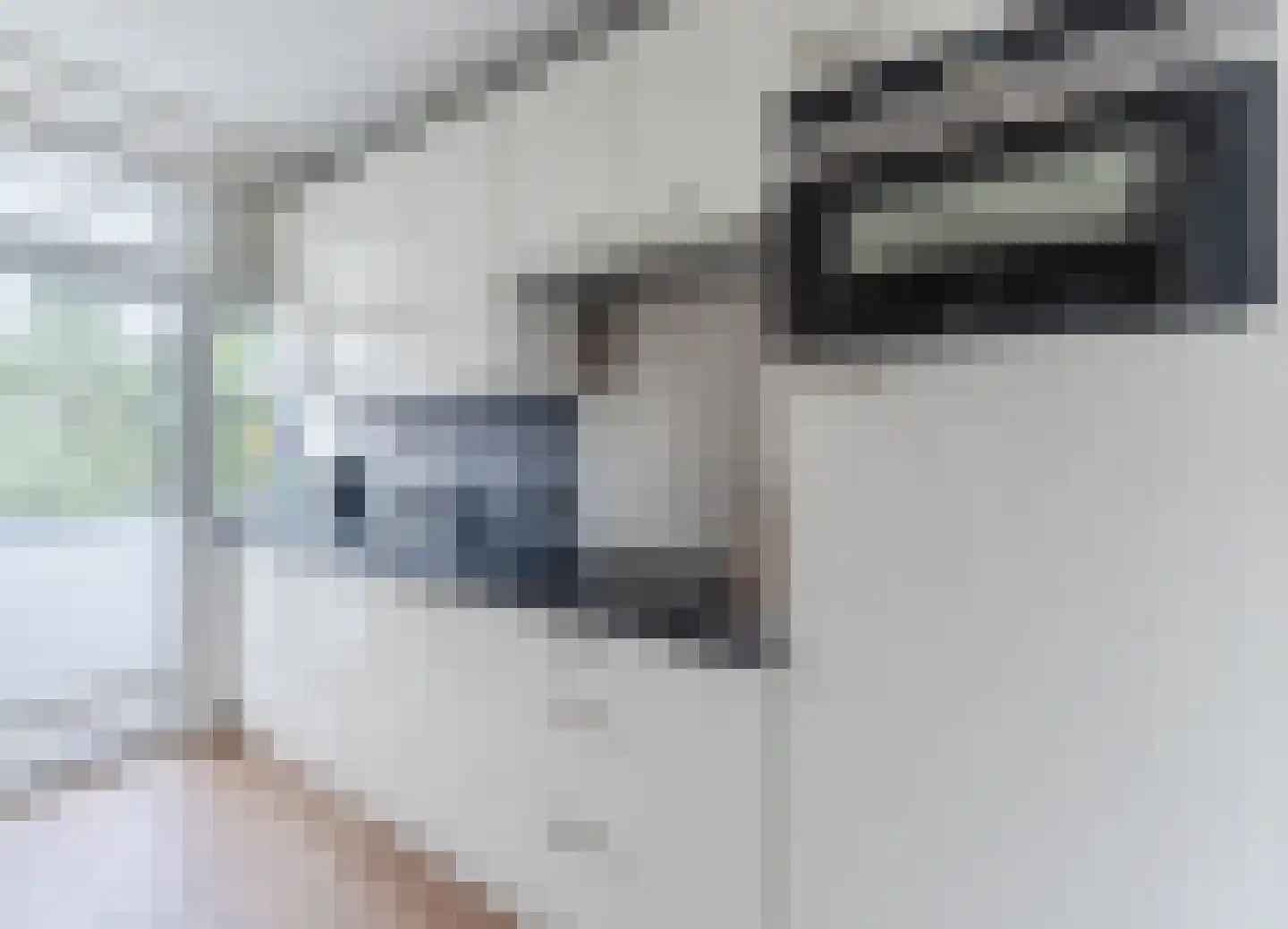 Dassenlaan 22 Hilversum thumbnail 16