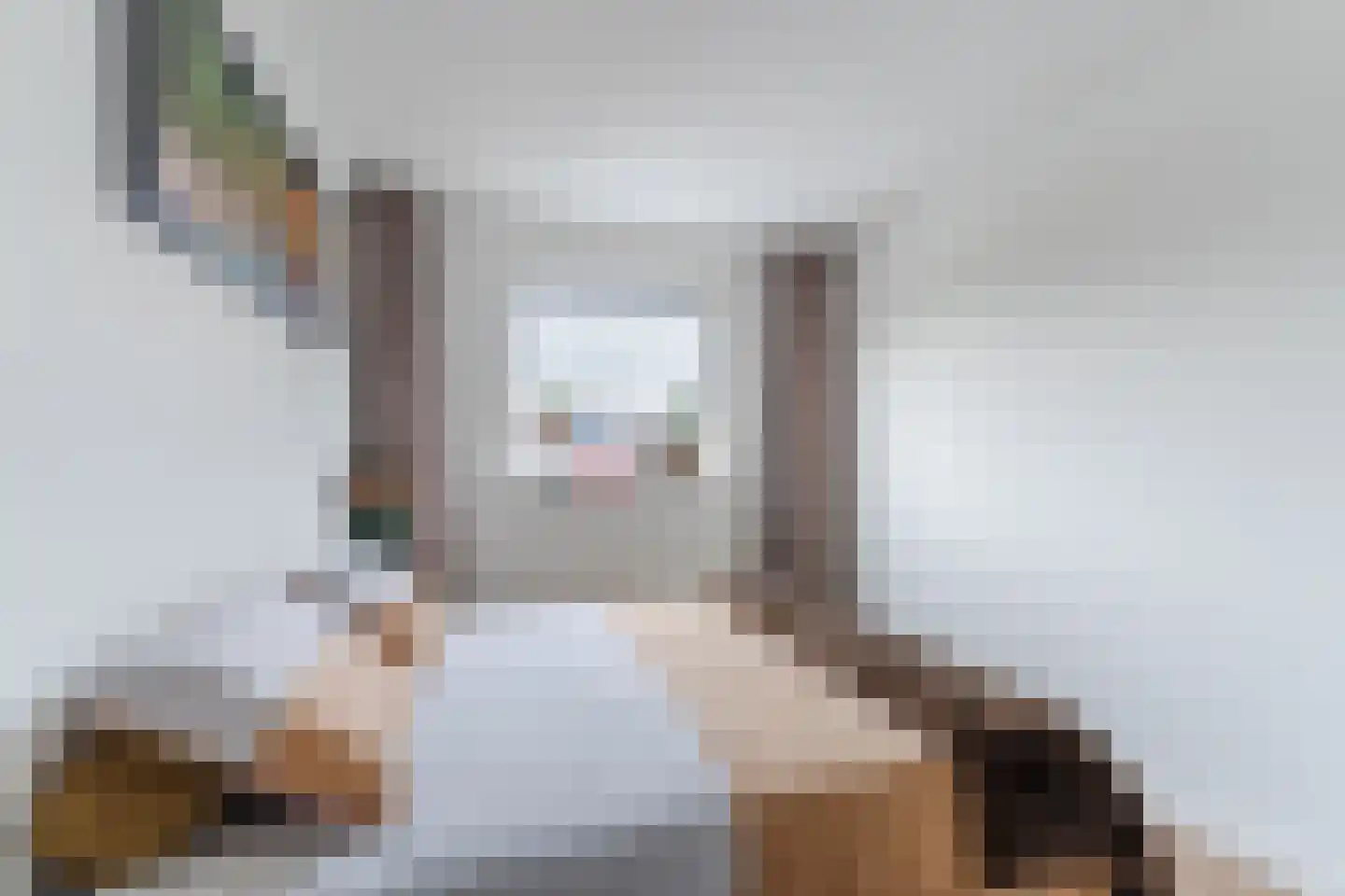 Dassenlaan 22 Hilversum thumbnail 32