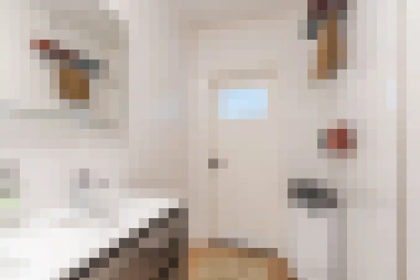 Dassenlaan 22 Hilversum thumbnail 36
