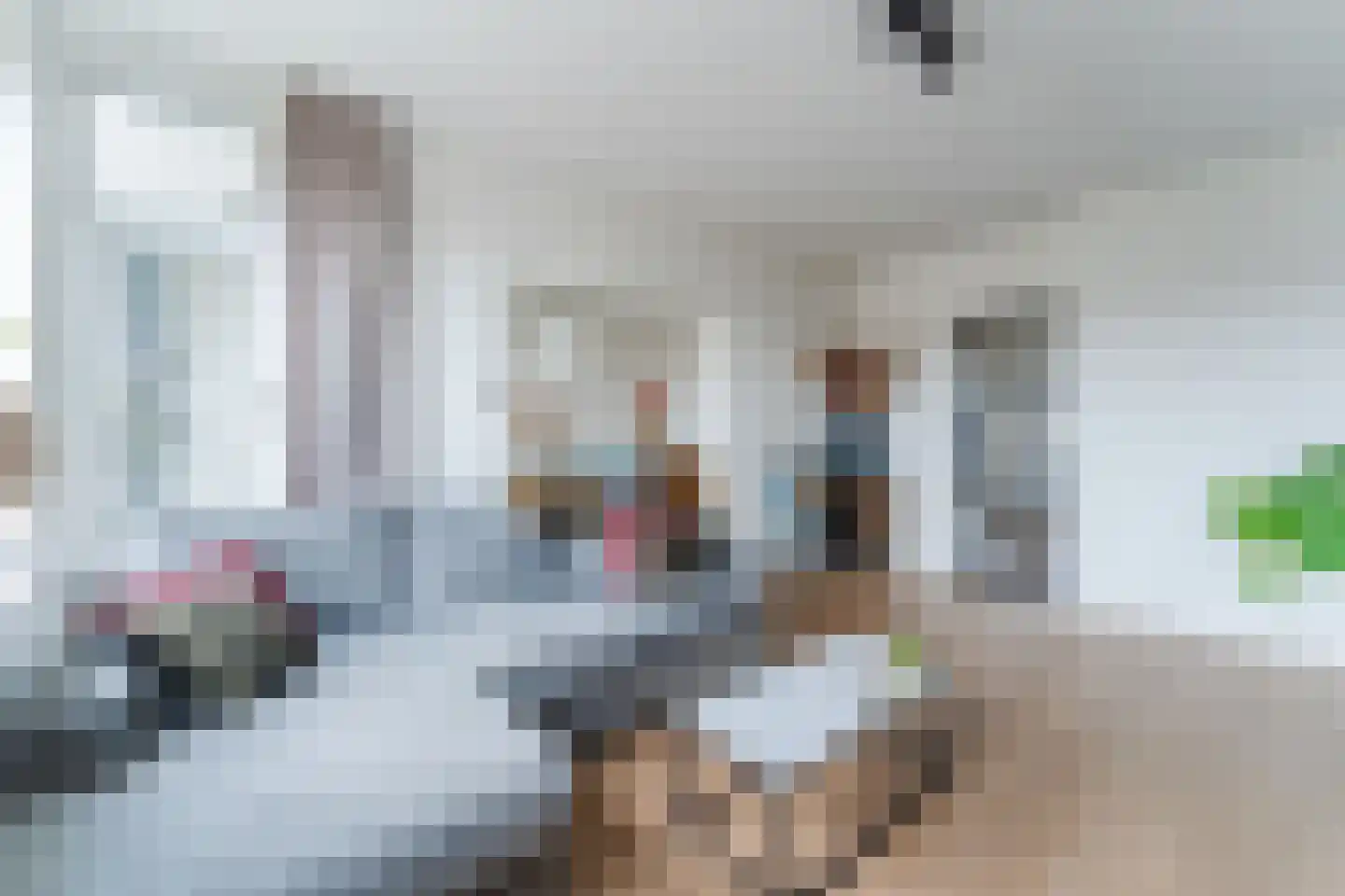 Dassenlaan 22 Hilversum thumbnail 4