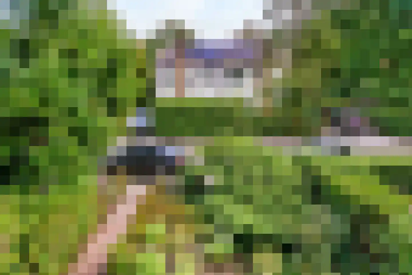 Dassenlaan 23 Den Dolder thumbnail 34