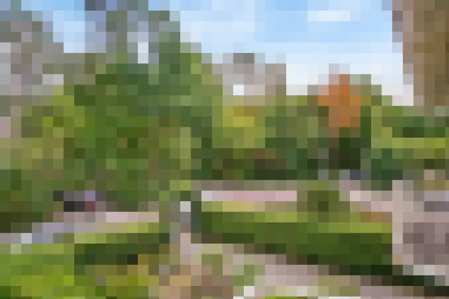 Dassenlaan 23 Den Dolder thumbnail 35