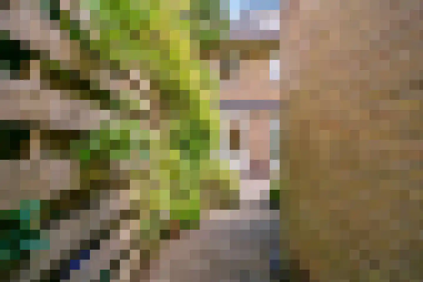 Dassenlaan 23 Den Dolder thumbnail 40