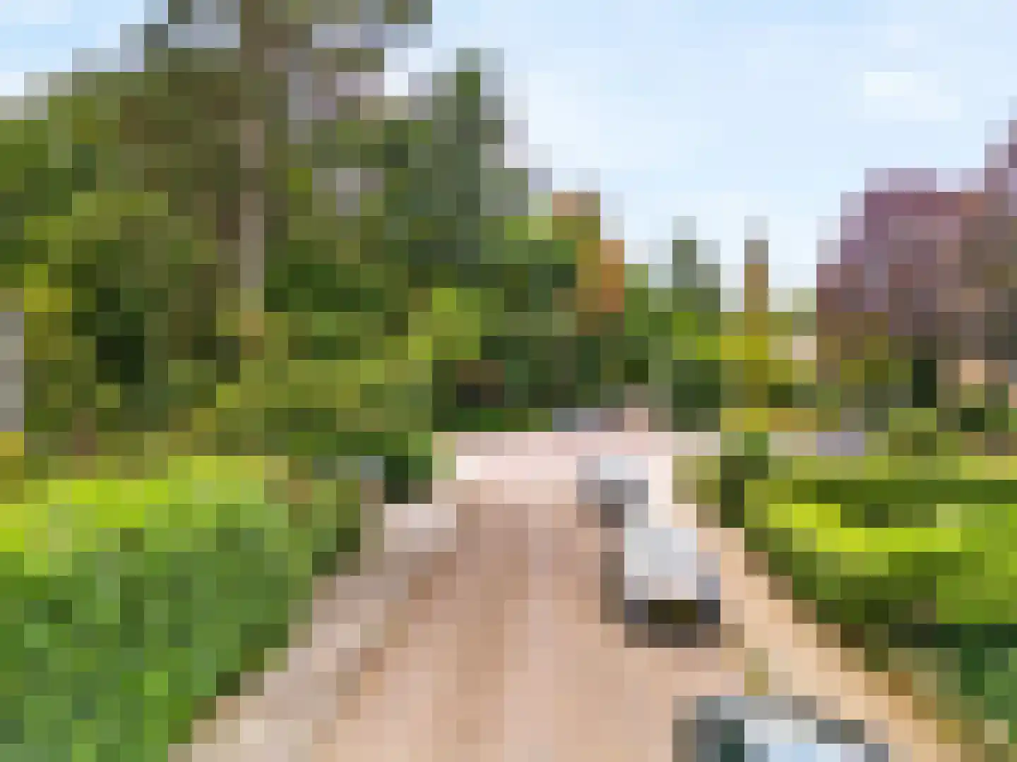 Dassenlaan 23 Den Dolder thumbnail 6