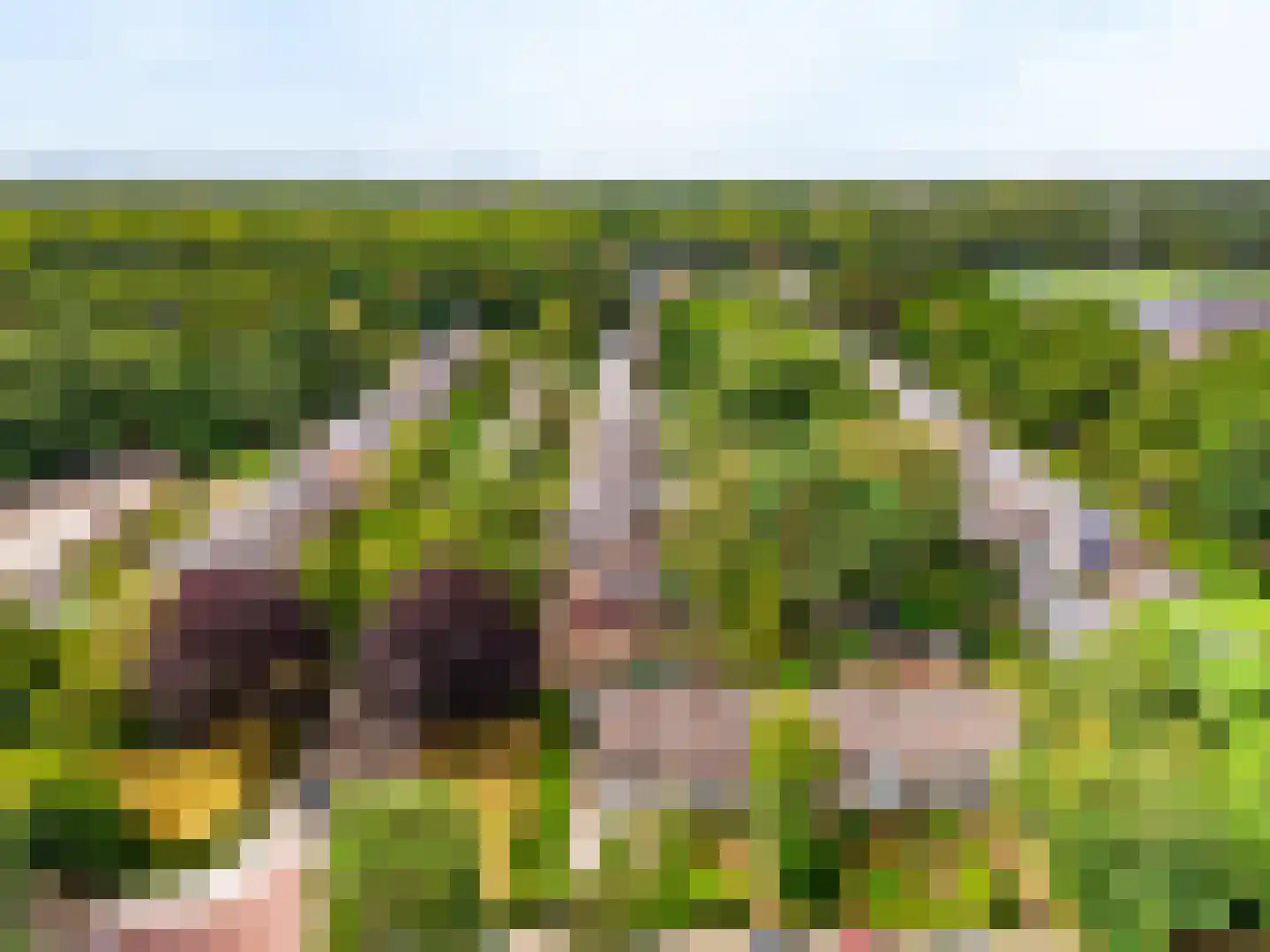 Dassenlaan 23 Den Dolder thumbnail 7