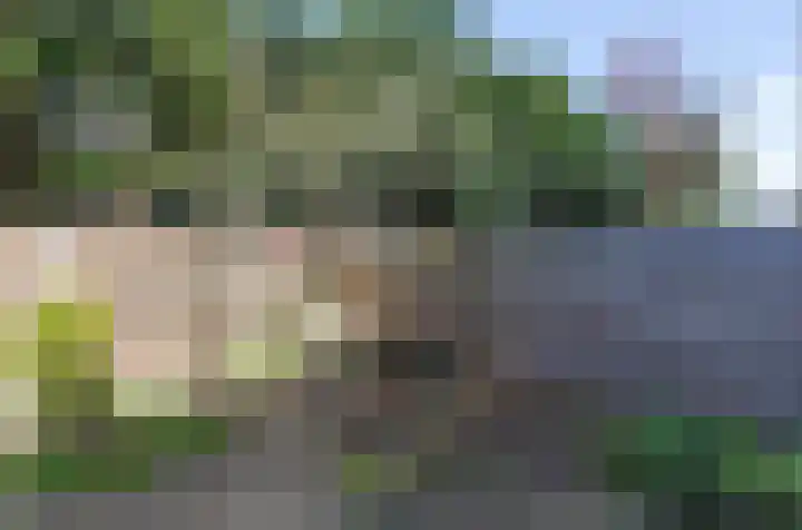 Dassenlaan 44 Hilversum thumbnail 16