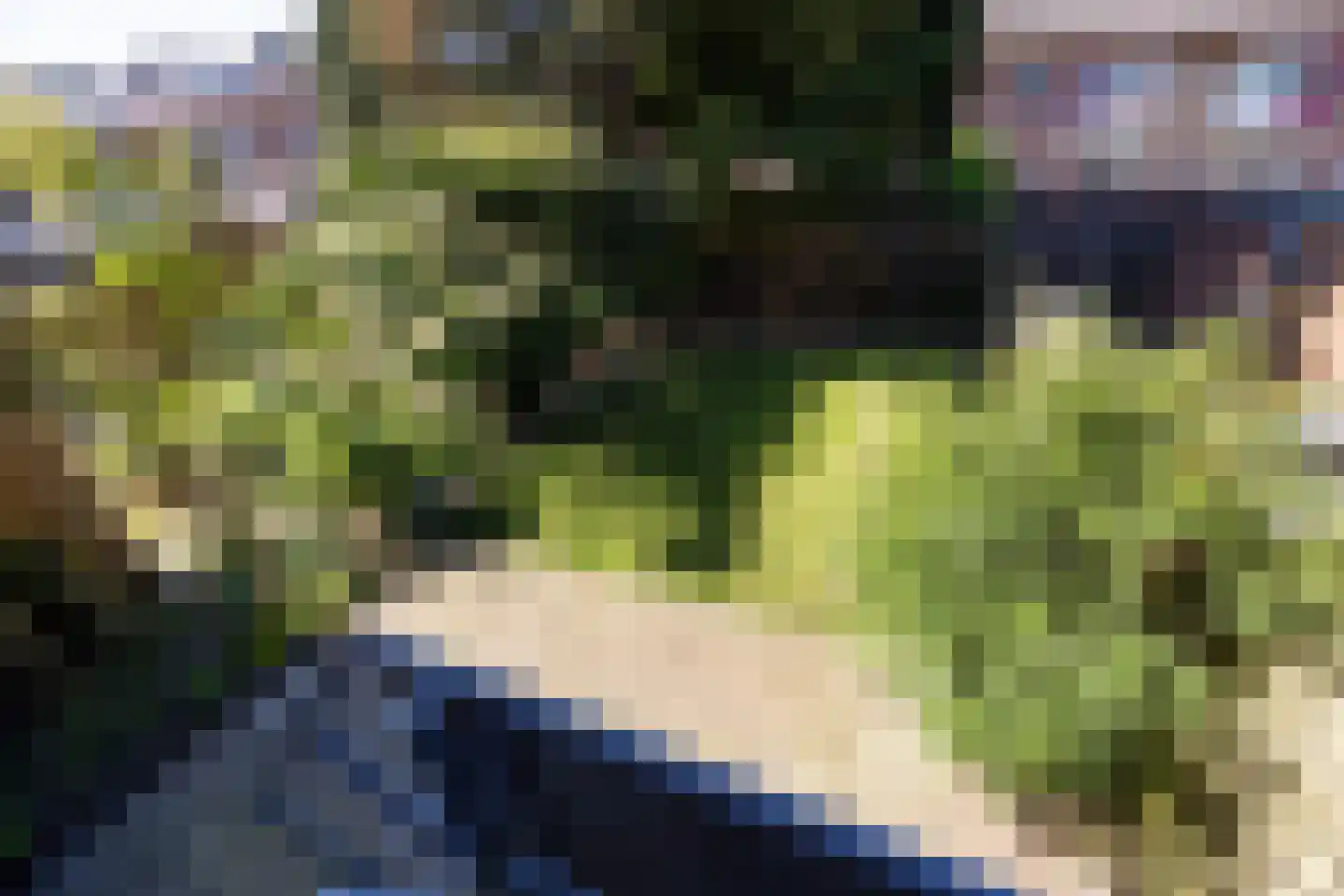 Dassenlaan 8 Hilversum thumbnail 23