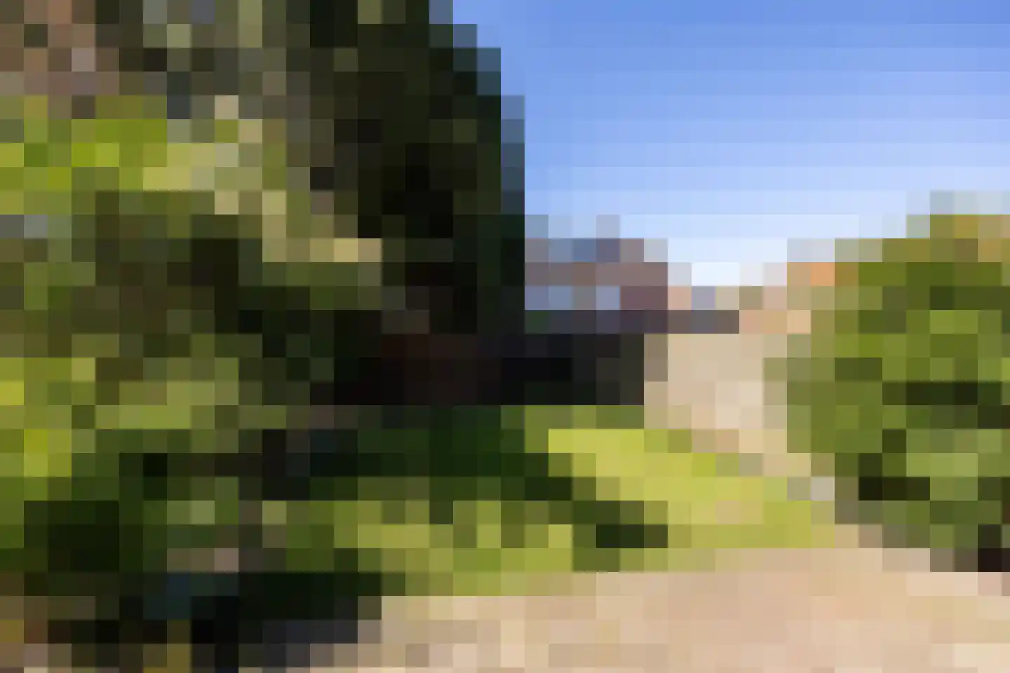 Dassenlaan 8 Hilversum thumbnail 24