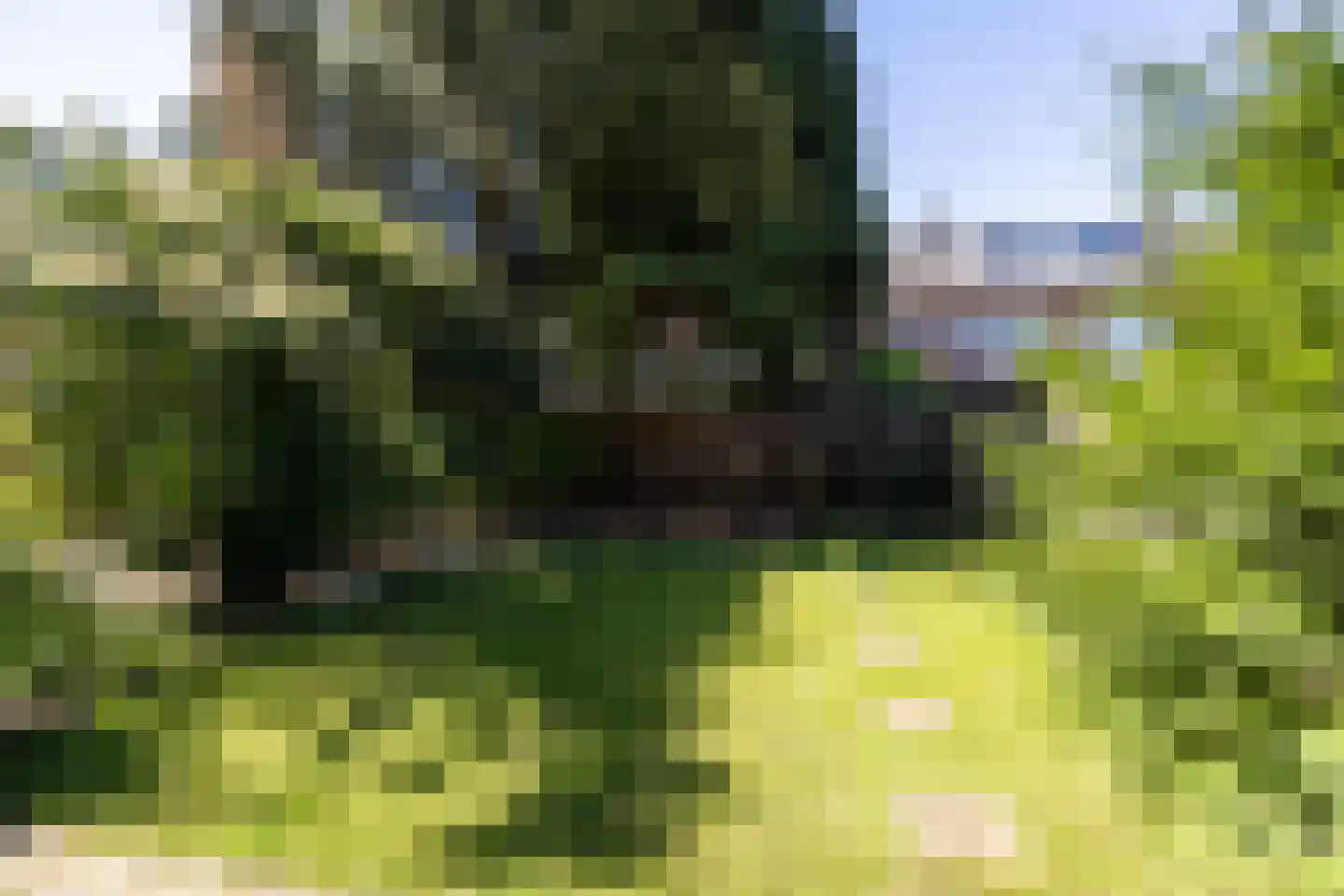 Dassenlaan 8 Hilversum thumbnail 25