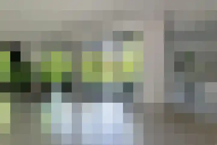 Dassenlaar 10 Bavel thumbnail 10