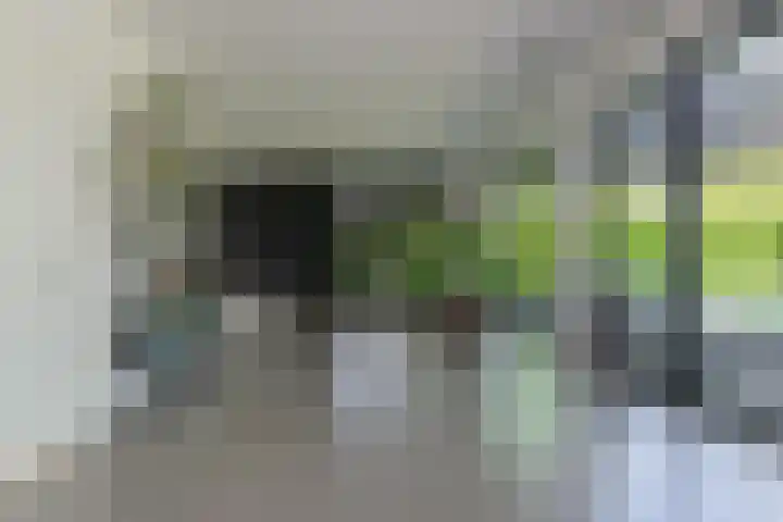 Dassenlaar 10 Bavel thumbnail 11