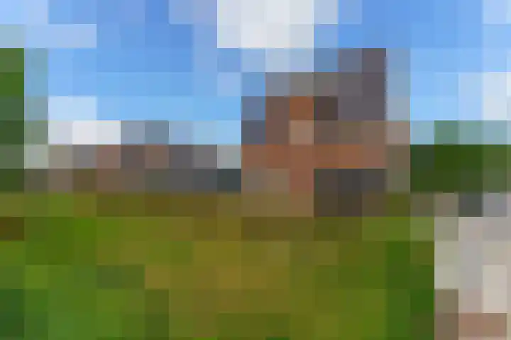 Dassenlaar 10 Bavel thumbnail 14