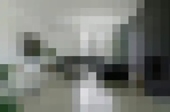 Dassenlaar 10 Bavel thumbnail 17