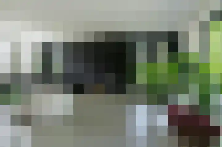 Dassenlaar 10 Bavel thumbnail 18