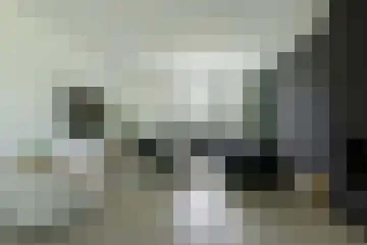 Dassenlaar 10 Bavel foto 2