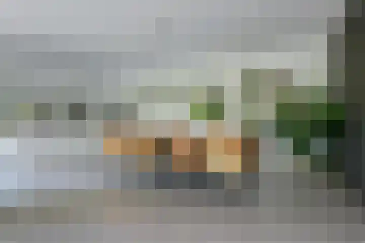 Dassenlaar 10 Bavel thumbnail 21