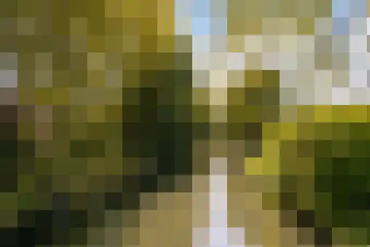 Dassenlaar 10 Bavel thumbnail 28