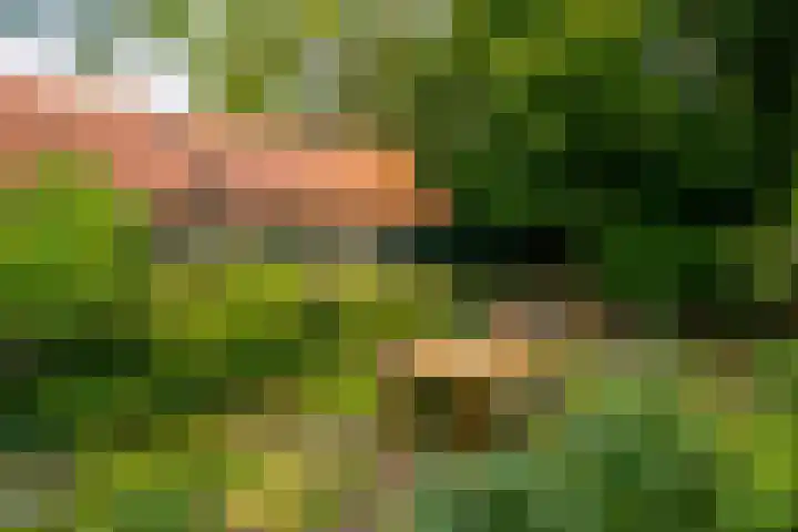 Dassenlaar 10 Bavel thumbnail 31