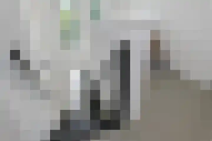 Dassenlaar 10 Bavel thumbnail 37