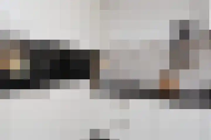 Dassenlaar 10 Bavel thumbnail 39