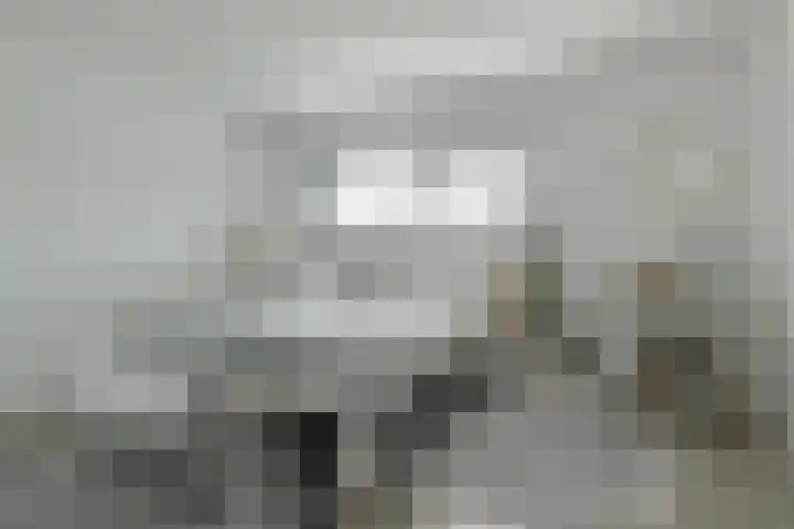 Dassenlaar 10 Bavel thumbnail 40