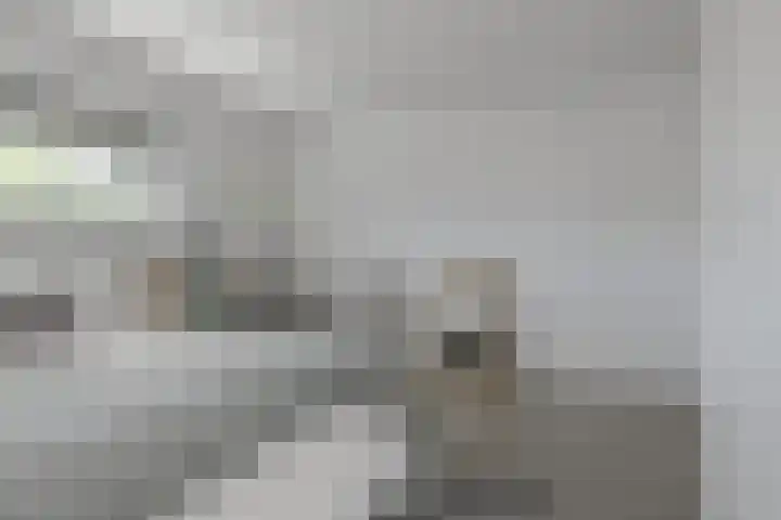 Dassenlaar 10 Bavel thumbnail 41