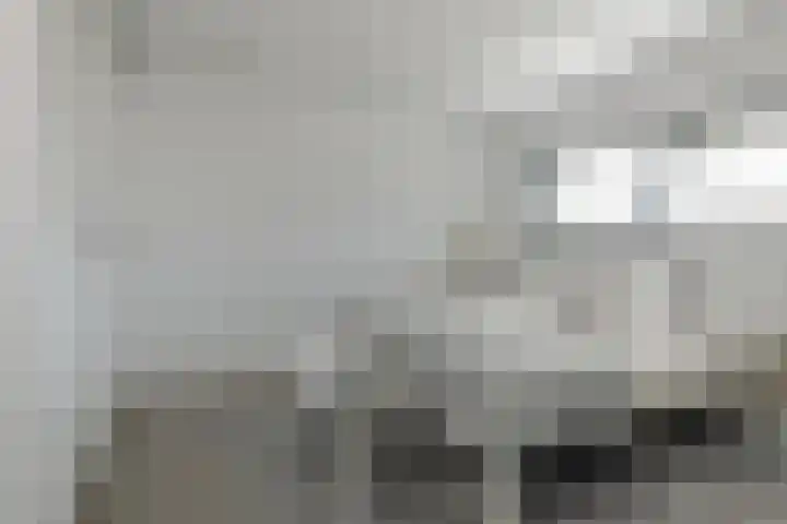 Dassenlaar 10 Bavel thumbnail 42