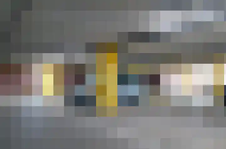 Dassenlaar 10 Bavel thumbnail 44
