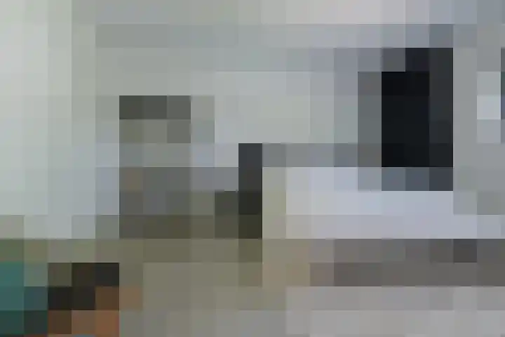 Dassenlaar 10 Bavel thumbnail 46