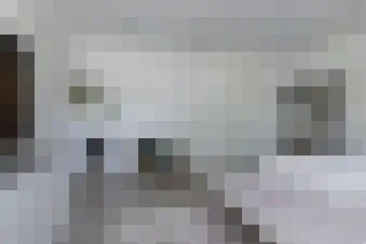 Dassenlaar 10 Bavel thumbnail 49
