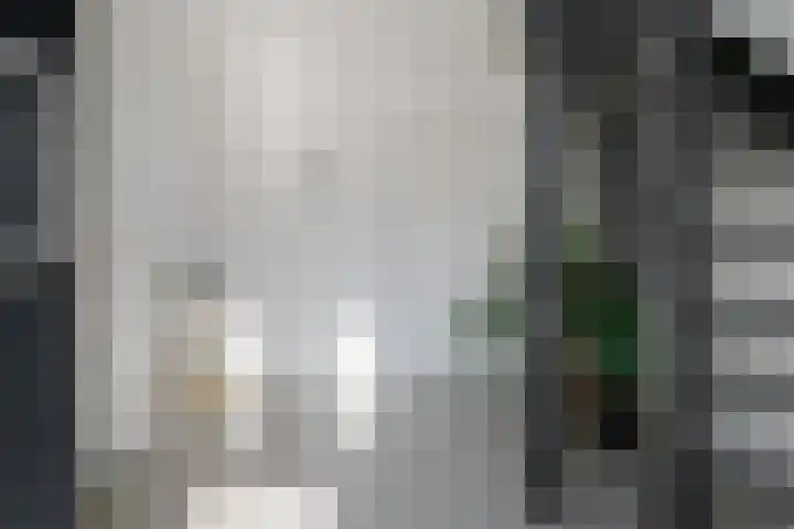 Dassenlaar 10 Bavel thumbnail 5