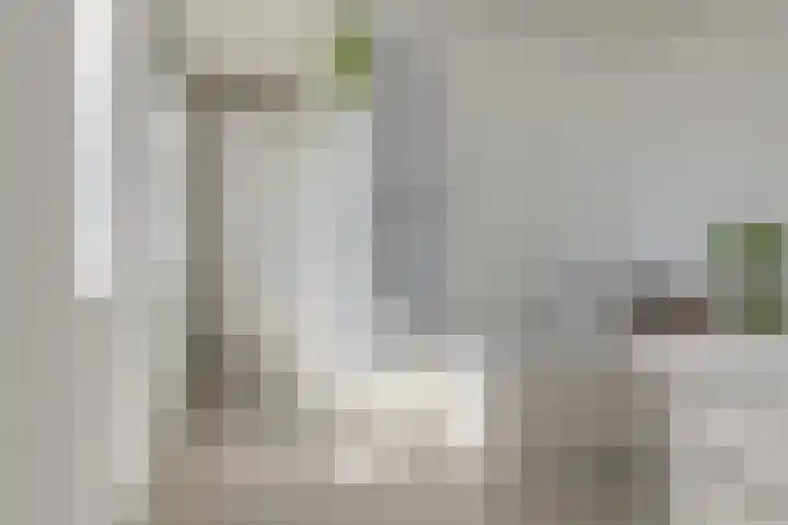 Dassenlaar 10 Bavel thumbnail 54