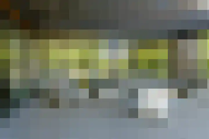 Dassenlaar 10 Bavel thumbnail 63