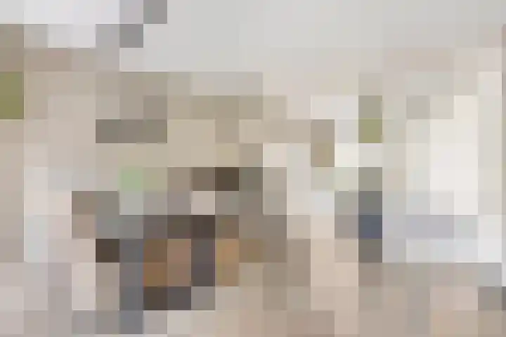 Dassenlaar 10 Bavel thumbnail 64