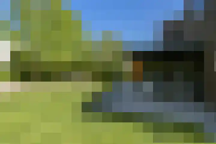 Dassenlaar 10 Bavel thumbnail 66