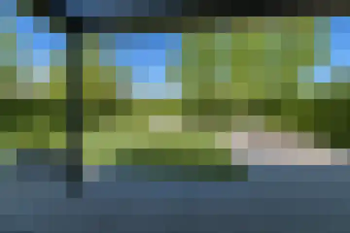 Dassenlaar 10 Bavel thumbnail 67