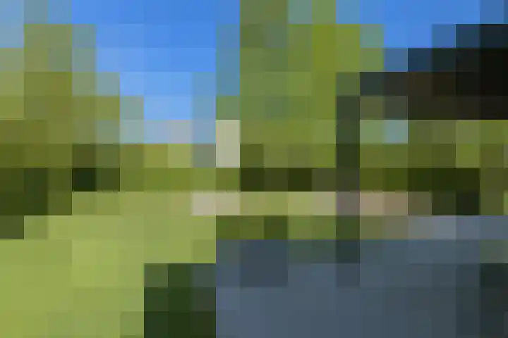 Dassenlaar 10 Bavel thumbnail 69
