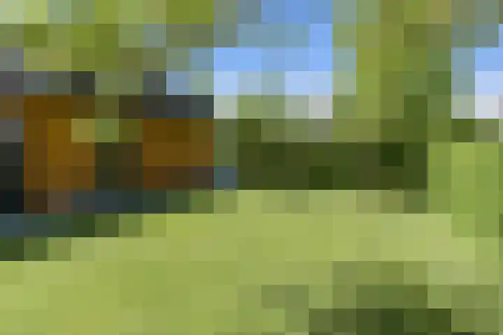 Dassenlaar 10 Bavel thumbnail 71