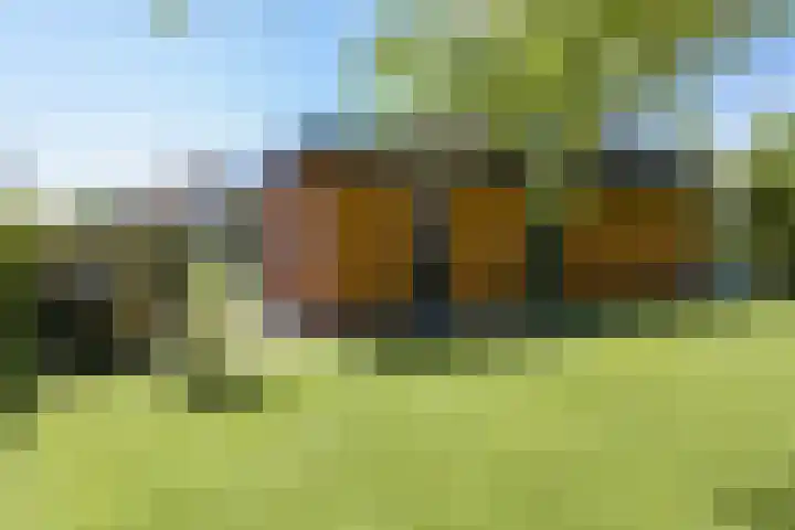 Dassenlaar 10 Bavel thumbnail 72
